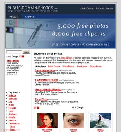 5000 Free Stock Photos