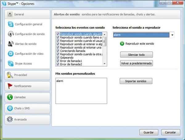 Skype videovigilancia
