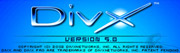 Divx, la alternativa pirata al DVD 15