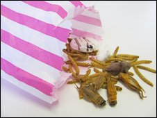 Insectos: ¿el plato del futuro? 5