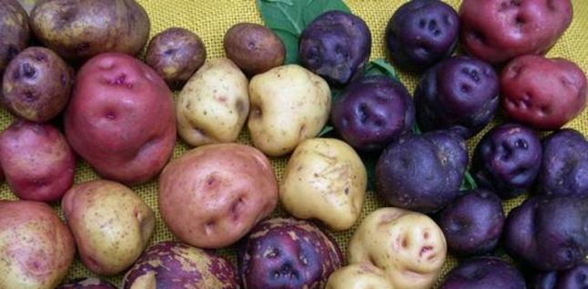 Papas reducen presión sanguínea