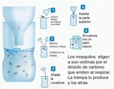 trampa ecologica zancudos