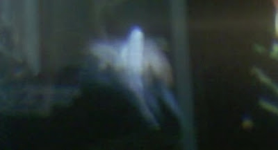 Quien dijo que en el mas alla no se goza, Fotografían a fantasmas pleno acto 5