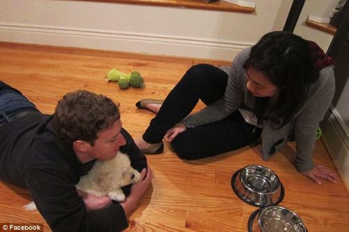 Un fallo de seguridad en los servidores de Facebook permitió hoy una filtración de varias fotografías privadas de su presidente Mark Zuckerberg 29