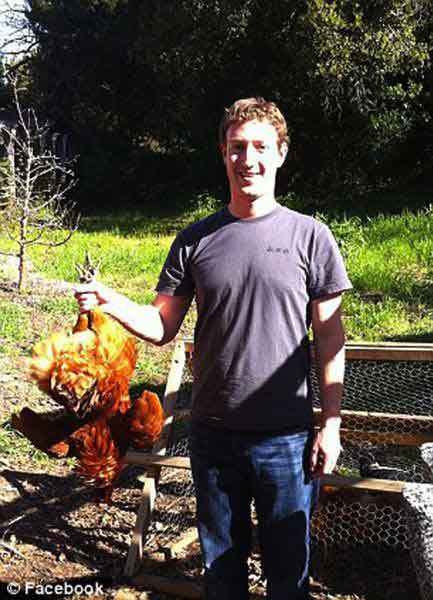 Un fallo de seguridad en los servidores de Facebook permitió hoy una filtración de varias fotografías privadas de su presidente Mark Zuckerberg 3