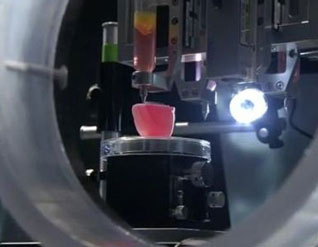La ciencia nadie la detiene crean impresora 3D de tejidos y órganos, tecnología de 'bioprinting' (bioimprenta) 35
