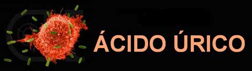 acido urico