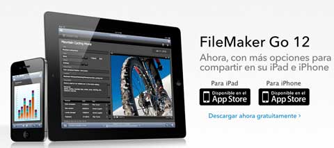 file maker go