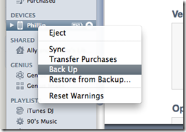 back up ipad itunes