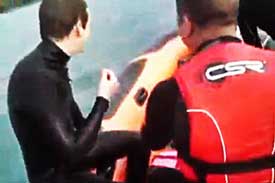 Lo empujan al mar justo cuando un tiburón se acerca + video ¡Que amiguitos! 5