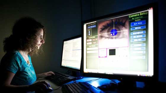 Crean un implante de polímero que repara la retina 1