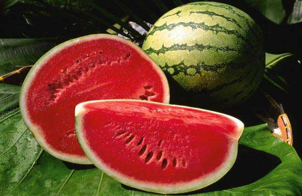 sandia o patilla beneficios a su salud