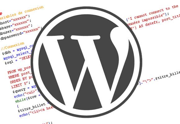 Cómo eliminar el Campo Website o URL del formulario de contacto en Wordpress