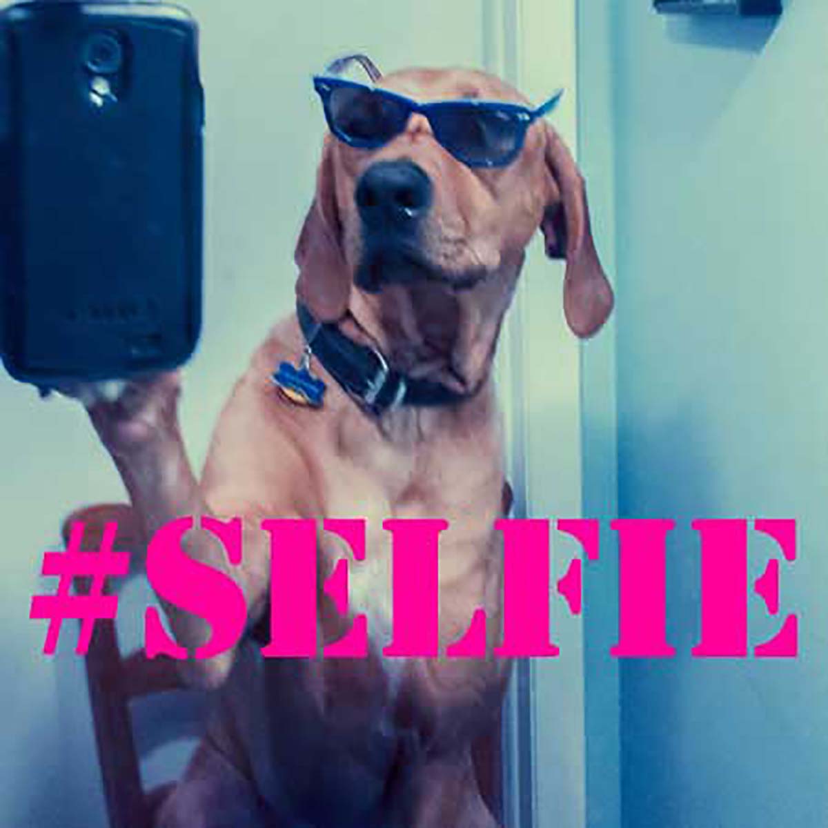 El exceso de “ selfies ” es señal de falta de sexo 64