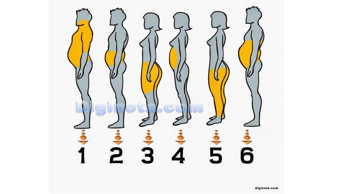 Que dieta y/o ejercicios seguir según tu grasa 4