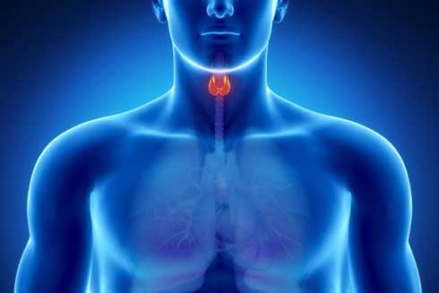 sintomas de tiroides