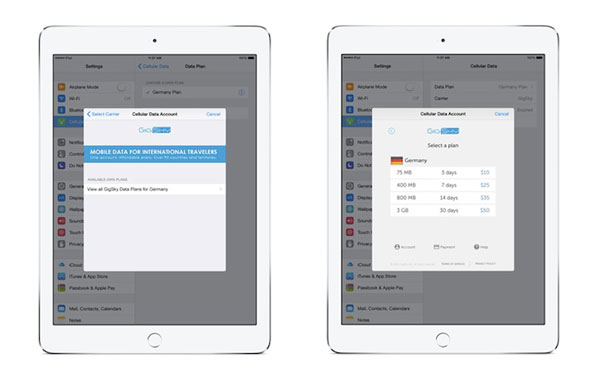 Como funciona la Apple SIM