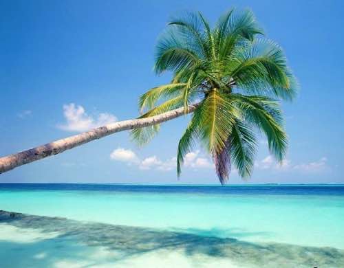 Virginia-Key-Beach