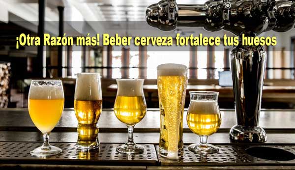 ¡Otra razón más! Beber cerveza fortalece tus huesos