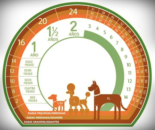 Tabla para Calcular La EDAD de Tu Mascota