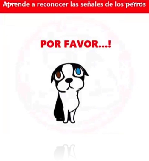 postura de los perros