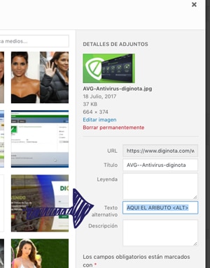 Colocar el Atributo ALT automatico en wordpress sin plugins-