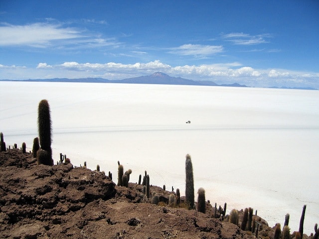 Isla del Pescado, salar de Uyuni, Bolivia