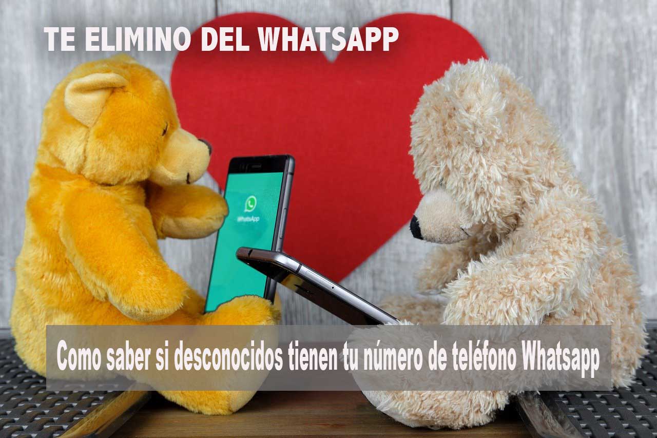 te elimino del WhatsApp