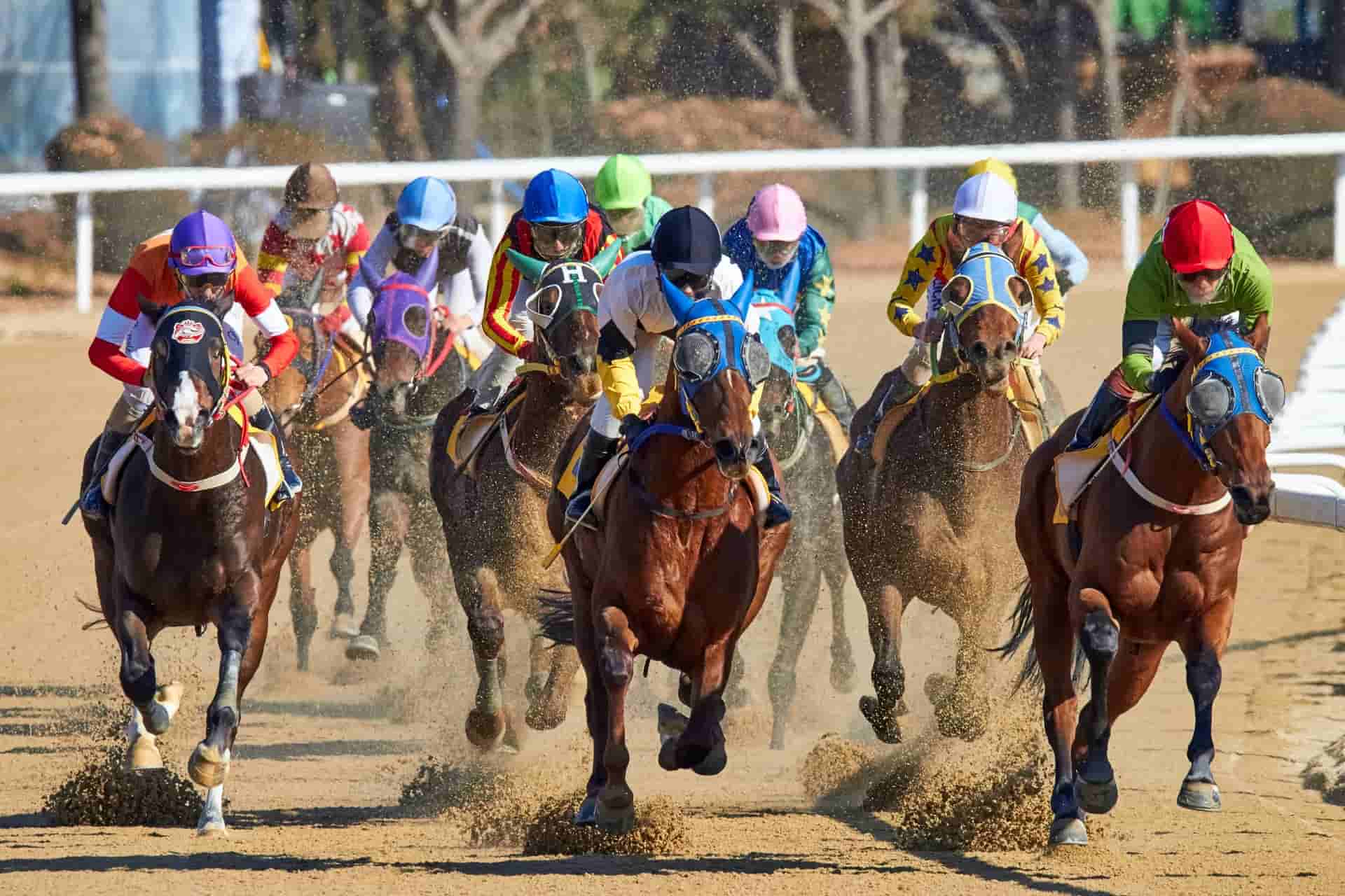 Como el hipismo ha evolucionado gracias a la digitalización