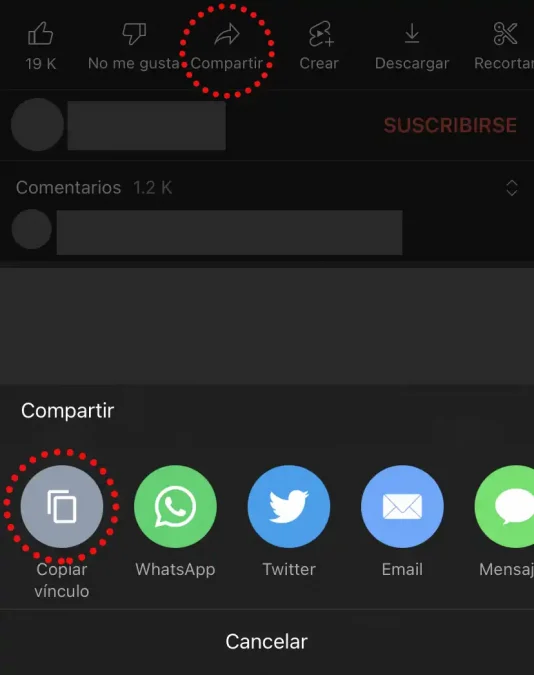 Descargar Videos de Instagram y Otras Redes Fácil y Rápido en iPhone 7