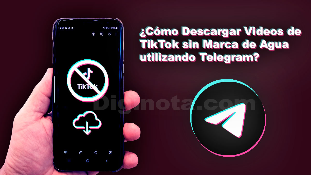 descargar TikTok desde Telegram
